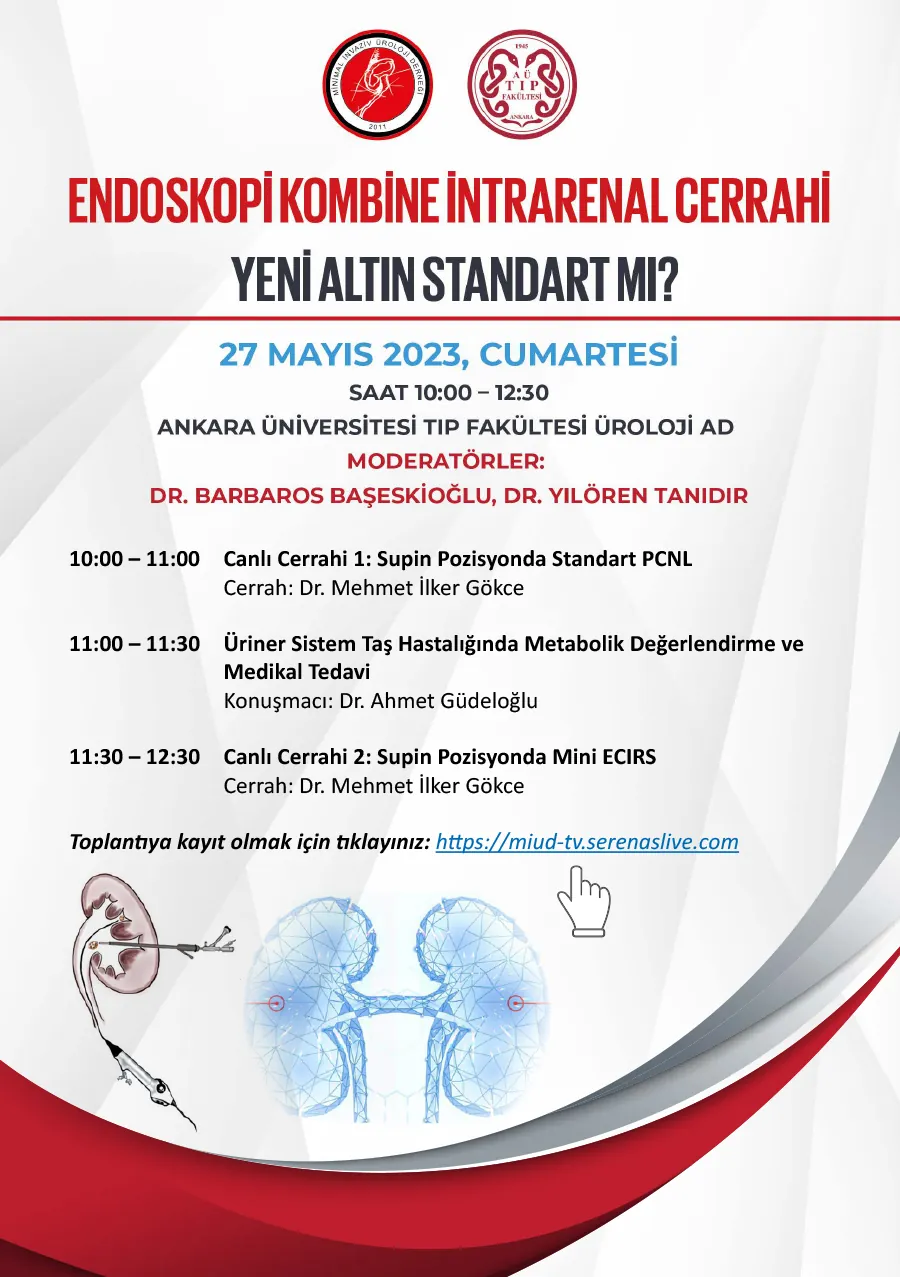 Endoskopi Kombine İntrarenal Cerrahi (ECIRS)